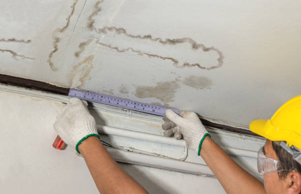 Reliable Structural Drying contractor in Howard City, MI by Water Damage Irwin